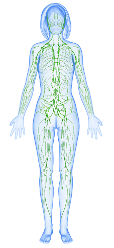 7 Ways to Improve Lymphatic Health in [cityname]